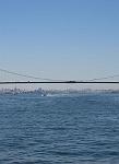 Bronx-Whitestone Bridge